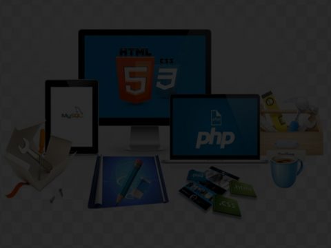 Web Design & Development Courses